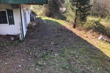 no more blackberry bushes