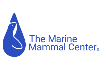 The Marine Mammal Center