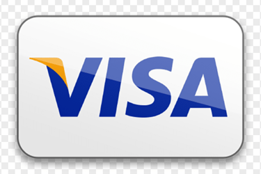 visa payment card icon.