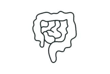 pictogramme intestin