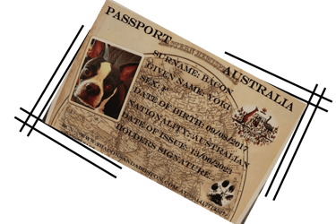 Yoki's pet passport mockup.