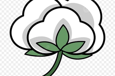 T shirt Manufacturer in tirupur india