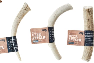 a variety of deer antler chews for dog