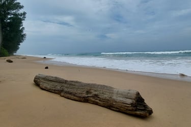 Thai Mueang Beach Phang Nga