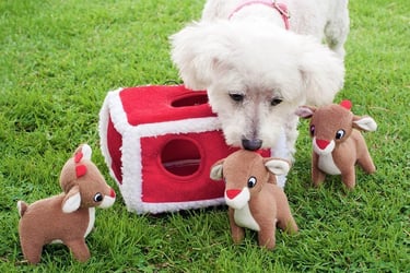 a dog is playing with a toy reindeers
