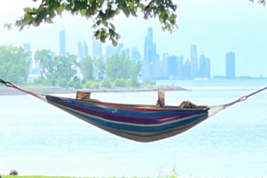 Promontory Point, hammock, book, dog - photo taken by a friend of a member - Link to August 2024 New