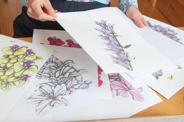 A desk filled with botanical illustrations