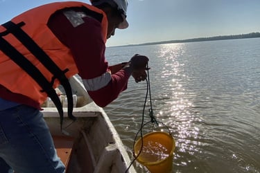 Water quality monitoring