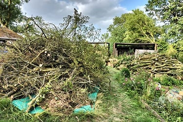 Green waste removal