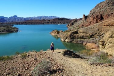 things to do at london bridge lake havasu