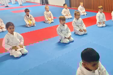 Baky karate, 4 ans, 5 ans, wakai, wakai team, couillet, rosiello, charleroi