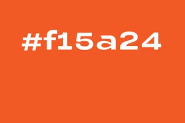 Branding - code couleur Soleado studio - studio de graphisme à Liège