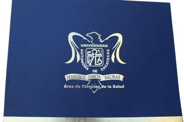 Carpeta institucional 