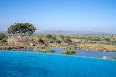 Four Seasons Serengeti pool