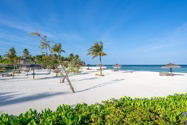 Ozen Life Maadhoo Maldives beach