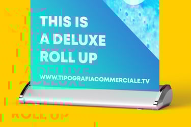 roll-up in vendita Treviso
