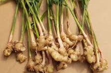 fresh-ginger-container-loading