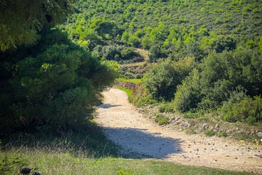 Hiking Zante - Near the end