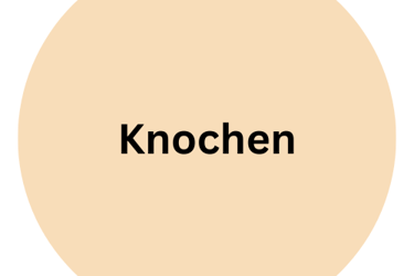 Lamm Knochen