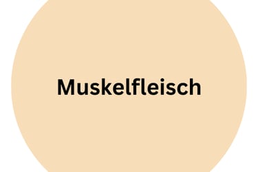 Lamm Muskelfleisch