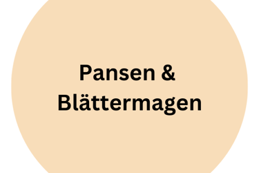 Lamm Pansen & Blättermagen
