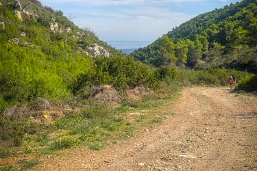 Hiking Zante - Heading back down towards Agios Pantes