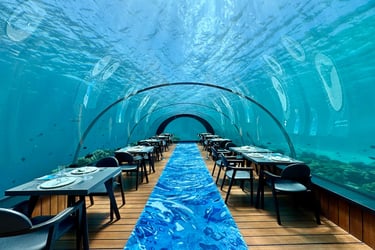 hurawalhi maldives 5.8 underwater restaurant