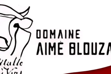 Logo Domaine Aimé Blouzard vino francese Borgogna