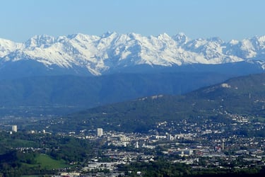a view of a city with mountains in the background