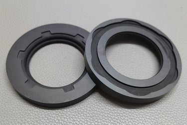 Silicon Carbide Mechanical Seals