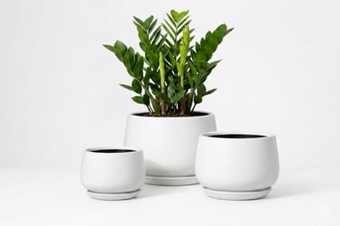 matte ceramic indoor plant pots set of 3 — plants for home decor.