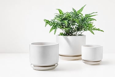 small ceramic plant pot white minimalist for green plants for bedroom.
