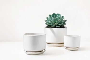 small ceramic plant pot white minimalist — indoor decorative planter.