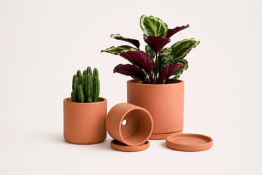 small ceramic plant pot white minimalist — indoor decorative planter.