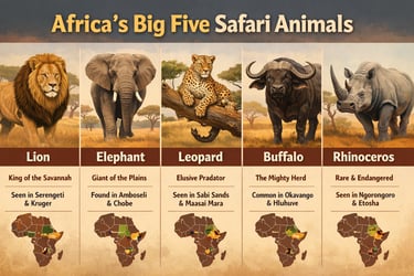 africa big 5 safari animals