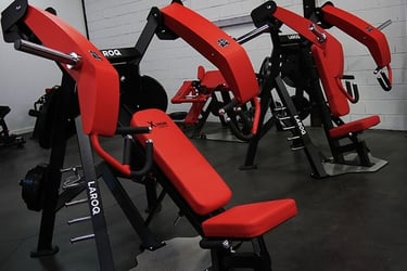 Chest press LAROQ X delavier (illustration)