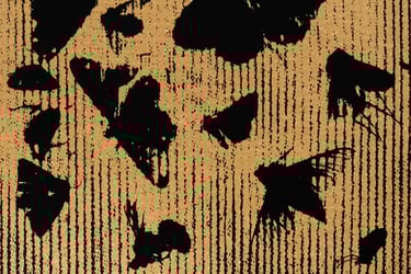 Sérigraphie insectes TAMAM Sérigraphie