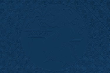 Close-up of DP-0067 texture on Dimense Media Plus