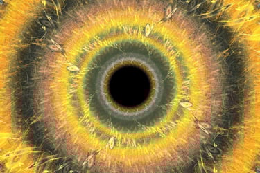 Patrones geométricos formados por frecuencias