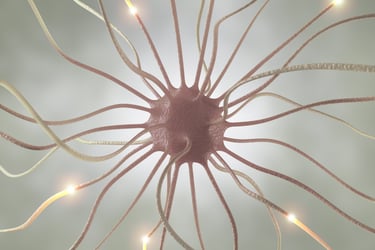 Sincronización de redes neuronales mediante pulsos binaurales