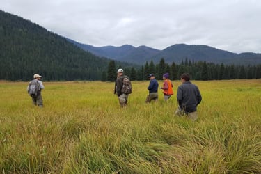 Interagency team monitoring wet meadow restoration