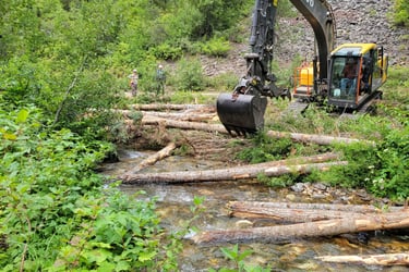 Installing Lare Wood in streams and floodplains.