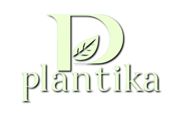 Plantika