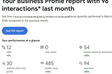 Mėnesinė Google business Profile ataskaite