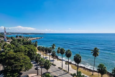 Santo Domingo seafront view with palm trees blue ocean and Malecón coastal road Dominican Republic