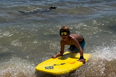 Boy on a boogie board next to a seal in Kauai
