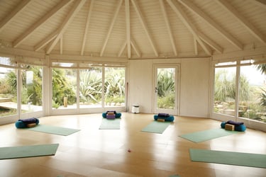 Yoga studio with mats.