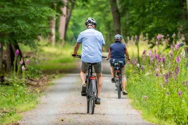 Family bicycling on country road