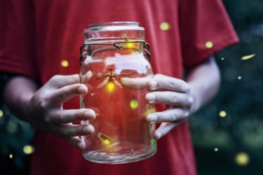 Fireflies in mason jar