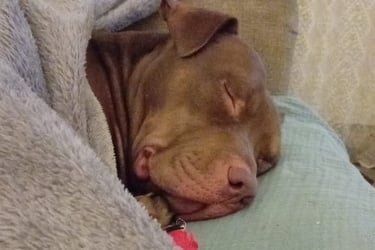 Dean sleeping